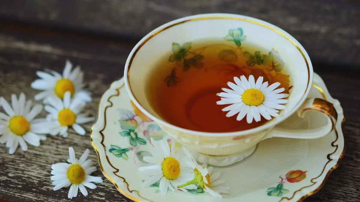 Chamomile Tea