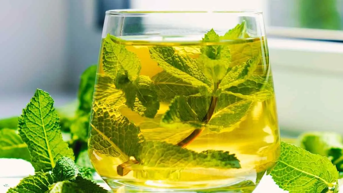 Citrus Mint Green Tea