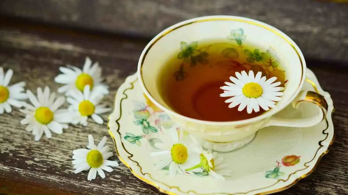 Does Chamomile Tea Help Lose Belly Fat