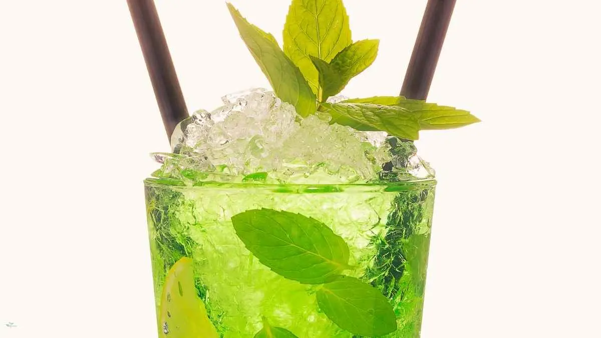 Green Tea Mojito Shot