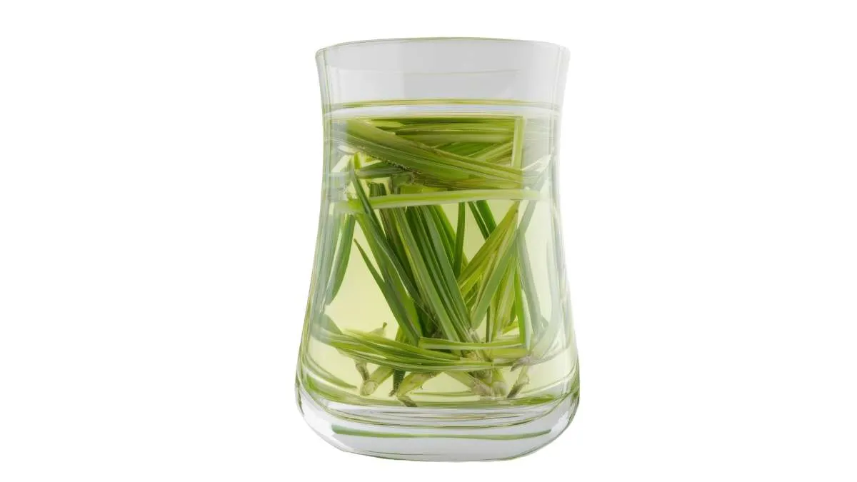 Lemon Grass