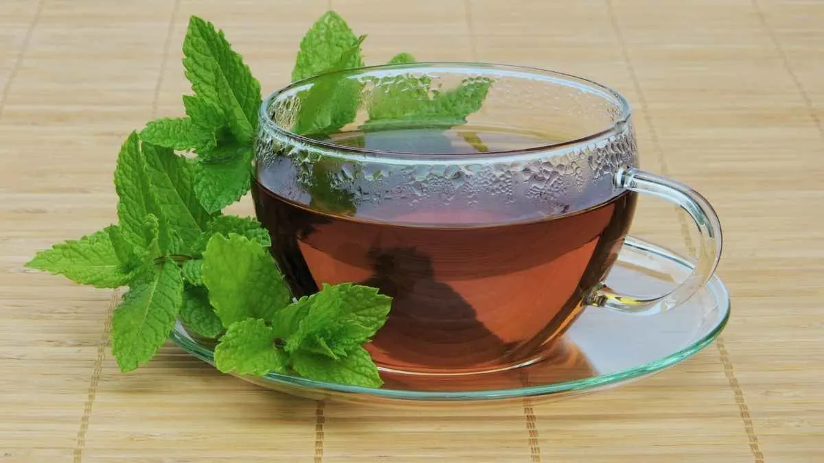 Peppermint Tea