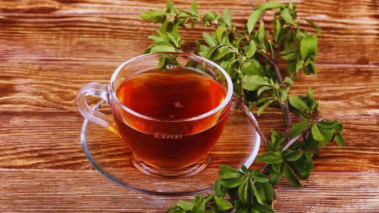 Spearmint Tea