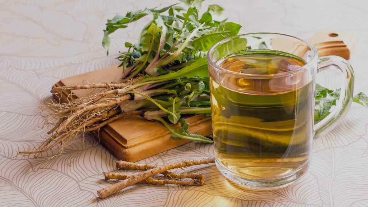 Dandelion Tea