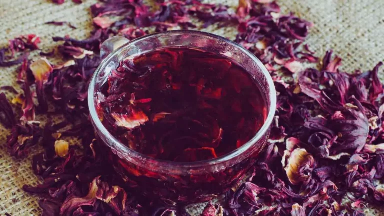 Hibiscus Tea Benefits