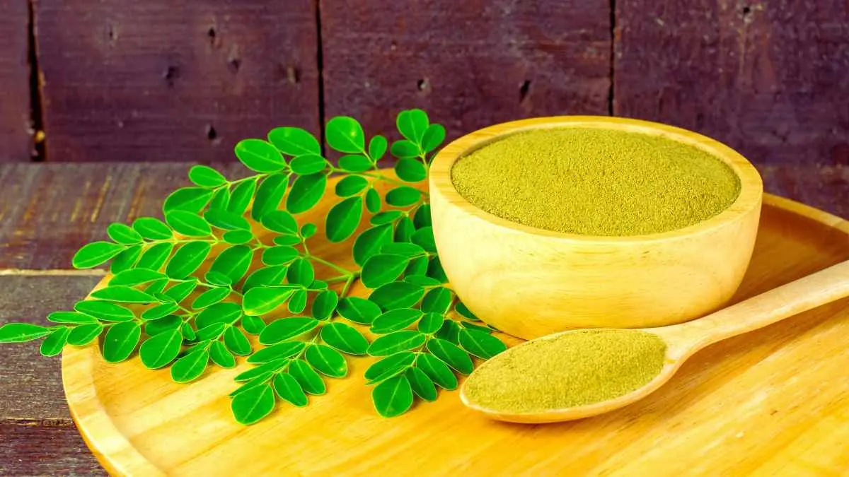 Moringa Tea 