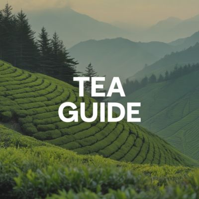 tea guide